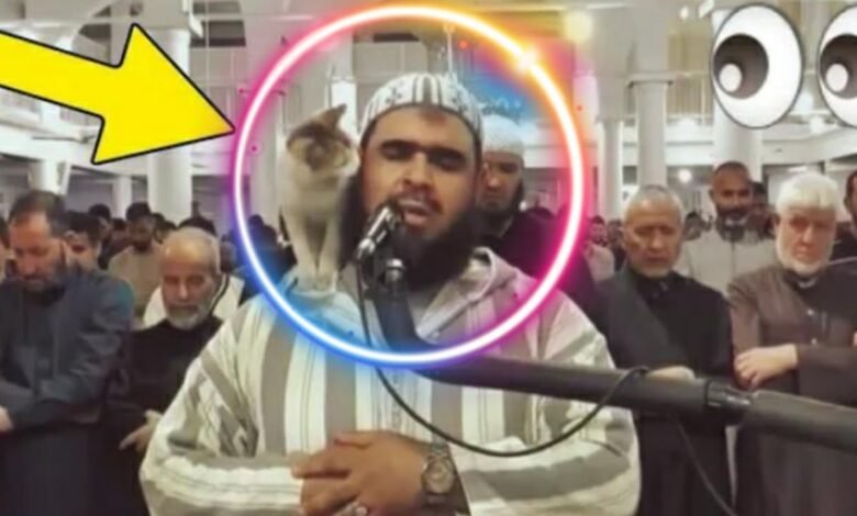 من هو وليد مهساس ويكيبيديا