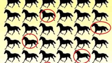 لغز لأقوياء الملاحظة.. اكتشف كم حصان بثلاثة سقان في 5 ثواني