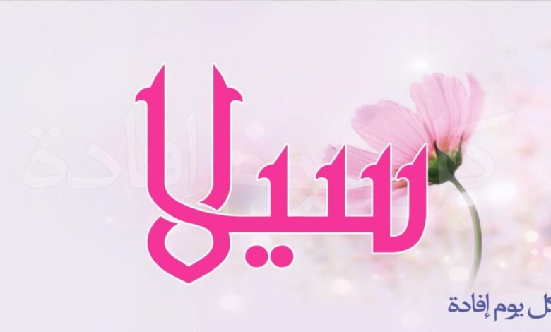 معنى اسم سُلا
