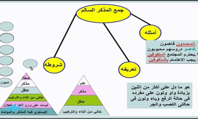 الجملة التي اشتملت على جمع مذكر سالم