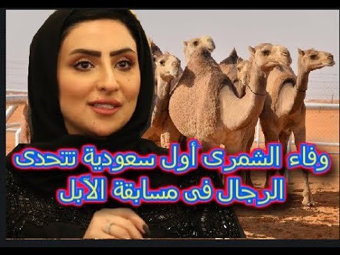 سبب سجن وفاء الشمري سفيرة الايتام